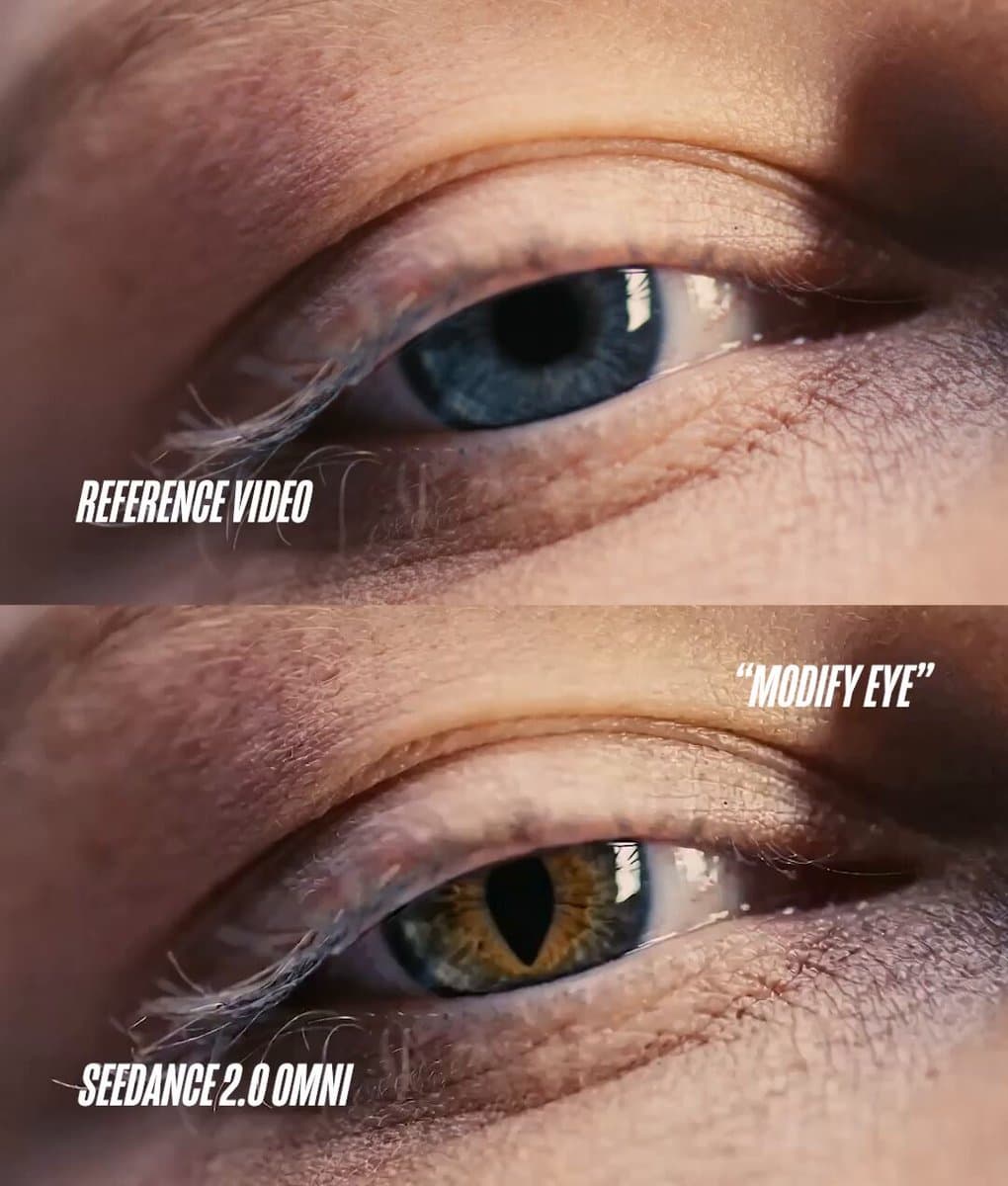 Seedance 2.0 Omni - Edit